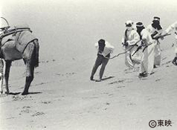 衝撃の世界死刑史