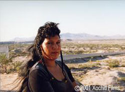 Señorita Extraviada