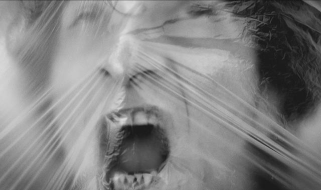 愛について僕が知っていること